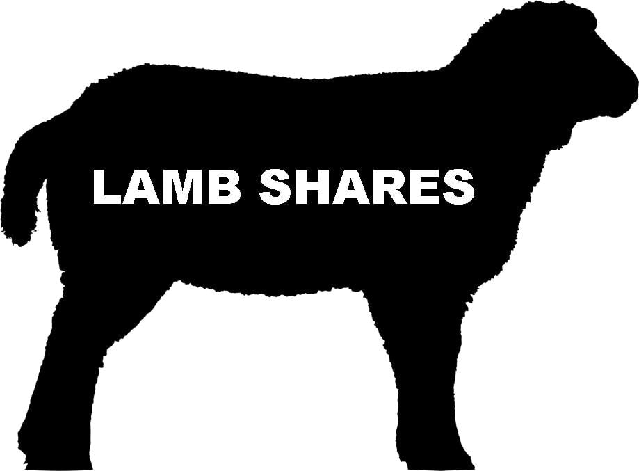 Lamb Shares - Whole or Half